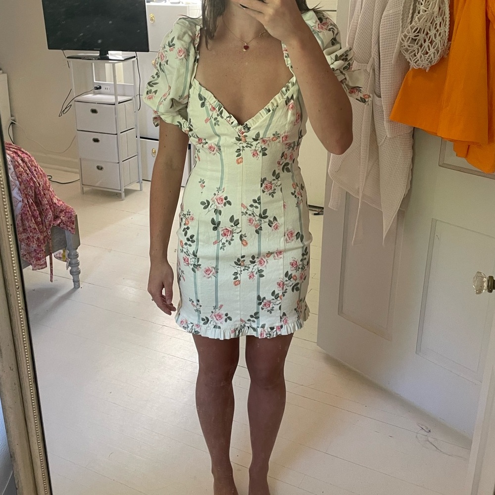 Rose Stripe Printed Mini Dress